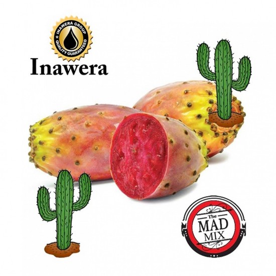 Inawera Cactus