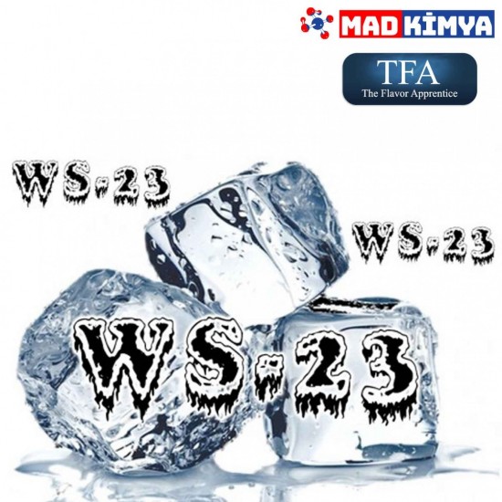 WS 23